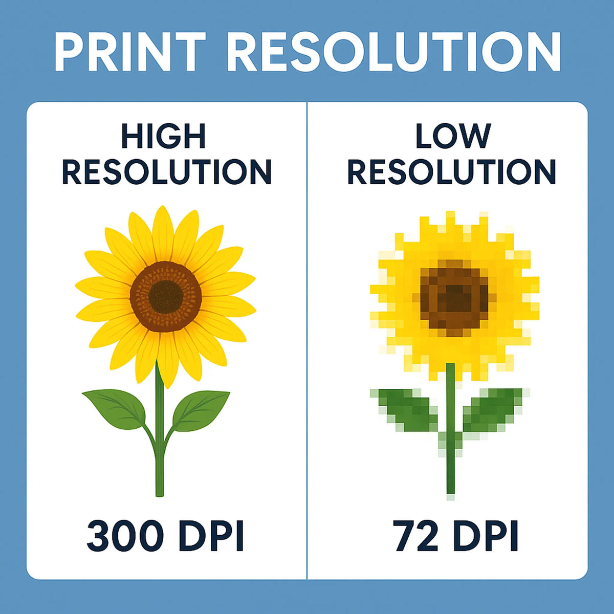 Print Resolution & Pixelation: What You Need to Know Before You Print ...